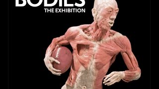 BODIES THE EXHIBITION [upl. by Refiffej]