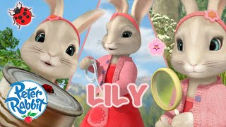 ​OfficialPeterRabbit  🌟 Lilys Brilliance 🌟  Day of the Girl Special 🎉 💕🎉  Cartoons for Kids [upl. by Nybbor6]