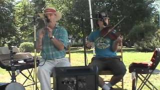 Irish Reels on Tin Whistle and Fiddle by Fiddling Thomsons  Sally Gardens [upl. by Brothers627]