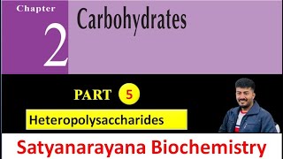 Heteropolysaccharides  Part5  Chapter2  Carbohydrates satyanarayana biochemistry [upl. by Zanze]