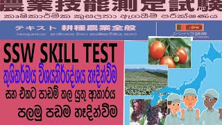 ssw visa agriculture sinhala  ssw visa agriculture syallabus à¶‘à¶š à·„à·à¶¯à·’à¶±à·Šà¶±à·€à·“à¶¸ [upl. by Aidam]