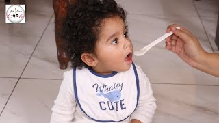 7 Month Old Baby Food  Healthy amp Tasty Baby Food [upl. by Llehcear]