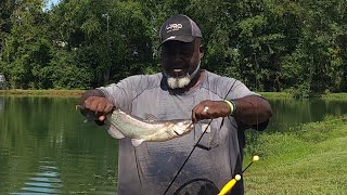 Catfishing until last light at Line Breaker Pay Lake [upl. by Mcdowell214]