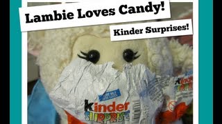 229 Lambie Loves Candy Kinder Surprises  LambCam [upl. by Elfstan414]