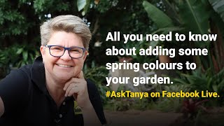 Garden Masterclass LIVE with Tanya Visser [upl. by Ahtamas]