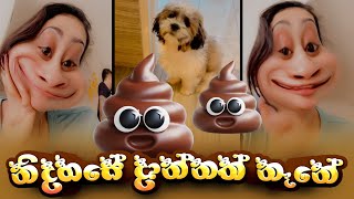 Piumi Hansamali  නිදහසේ බෙට්ටක් දාන්නත් නෑනේ😂😂😂 [upl. by Aicilana610]