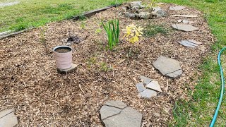 Installing A Succulent Rock Garden Part 1 [upl. by Heeley]