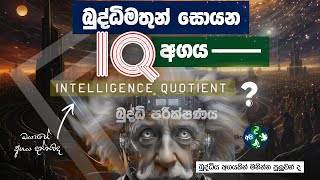 ඔයාගේ IQ Level එක දන්නවද  😳 What is IQ Level amp Test  Intelligence Quotient  Sinhala IQ  Bio Api [upl. by Nednal]