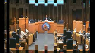 20231116 Wilmington Delaware City Council Passes Gaza Cease Fire Resolution [upl. by Delly617]