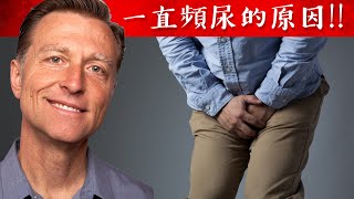 频尿持续有小便冲动？这是原因！自然疗法柏格医生dr berg [upl. by Isteb]