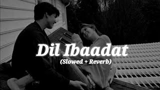 kk  Dil Ibadat Lofi  Lofi amp Remix version  Hindi lyrics songs [upl. by Leunammi764]