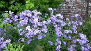 Abbey Dore Court Gardens near Hereford  Herefordshire Attractions [upl. by Delcine583]