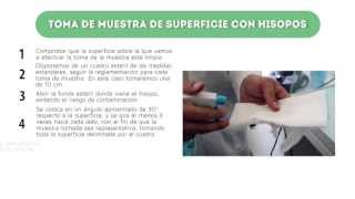 Toma de muestras con hisopos [upl. by Ozkum]