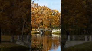 Pushkin  Tsarskoe Selo golden autumn part 1 [upl. by Haral223]