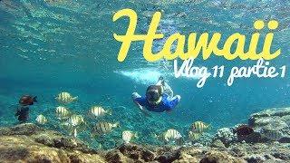 VLOG 11  LA CÔTE SAUVAGE DU SUDEST DE BIG ISLAND  Région de Puna  Hawaii [upl. by Aizirtap]