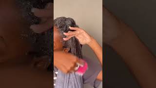 Detangling 4c hair ✨ go off coils 4chair natural detangling haircare howtogrownaturalhair [upl. by Neelat]