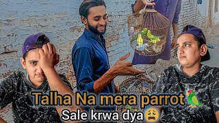 Talha na mera parrot 🦜 sale kr dya 😩rajabfamily duckybahi [upl. by Lucier254]