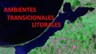 Ambientes transicionales Litorales y costeros [upl. by Suiramaj212]