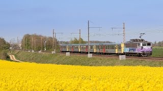 Trains dans le Colza du côté de Meursault en Avril 2015 [upl. by Reggie]