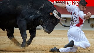 4K ▪ CASTELLÓN DE LA PLANA ▪ CONCURSO DE RECORTE LIBRE ▶ Toros de la ganadería LUPI [upl. by Arreic]