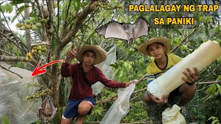 Paglalagay ng trap sa puno ng langsones pagkuha ng UBOD ng niyog [upl. by Celestyn596]