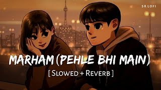 Marham Pehle Bhi Main Slowed  Reverb  Vishal Mishra  Animal  SR Lofi [upl. by Terrel784]