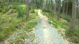 New Black Run At Grizedale Forest Down hill mountain biking [upl. by Nitaj]