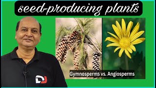 Whats the BIGGEST Difference Between Gymnosperms and Angiosperms  NEET  RK sir  Destiny JEET [upl. by Nohsal]