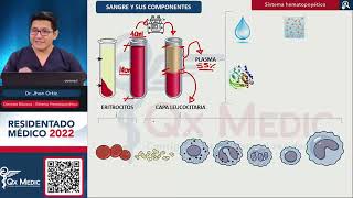 Hematología Ciencias Básicas  Primera parte 01 [upl. by Drahcir]