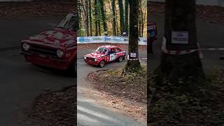 6° Lessinia Rally Historic 2024 SHOW amp CRASH  Prova Annullata [upl. by Nnoj]