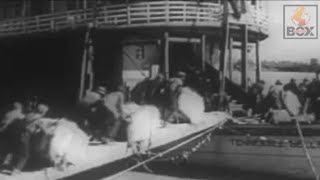 Loading Cotton Bales on a Steamboat  A Depression  Era Perspective [upl. by Fasta]