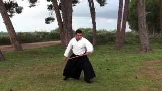 Aikido iwama Mostaganem Ep2 [upl. by Nodnahs]