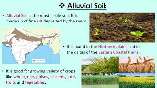 Soils of India CBSE SSTEVS Class 4 [upl. by Lowney]