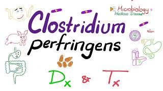 Clostridium perfringens Diagnosis and Treatment  Microbiology 🧫 amp Infectious Diseases [upl. by Aniar]