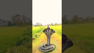 cobra snake se nagin snake hogaya Hara Hara shambhu snake video 🐍 [upl. by Aicatsue]