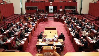 ‘It’s too crazy’ Labor’s misinformation legislation ‘won’t pass’ the Senate [upl. by Ledif141]