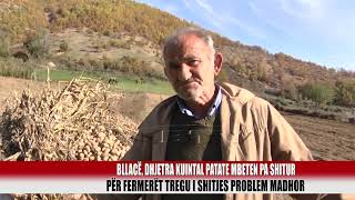 Mungesa e tregut problem madhor për prodhuesit e patates në Bllacë  Bulqiza Tv [upl. by Orravan]