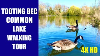 TOOTING BEC COMMON LAKE  London Walking Tour 4K HD April 2021 [upl. by Kiona963]