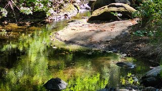 Water at Spahn Ranch [upl. by Enoved]