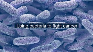 Bacteria expressing an antitumor signaling protein can be a potent cancer immunotherapy [upl. by Bradshaw]