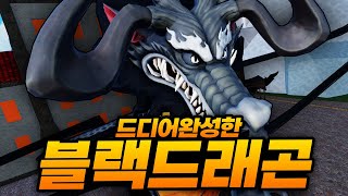 운영자를 죽이면서까지 만들고 싶었던 블랙 드래곤 드디어 만들었습니다 로블록스  킹피스 [upl. by Neyr]