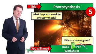 Photosynthesis and Leaf Adaptations  Biology  KS3  Key Stage 3  Mr Deeping [upl. by Anilah]