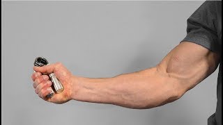 FOREARM WORKOUT Every Day For 30 Days  Using HAND GRIPPER For 30 Days  FOREARM TRANSFORMATION [upl. by Limber]