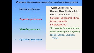 Serine Proteases Mechanism of Action [upl. by Vijnas877]