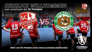 2 FBL  SC Potsdam vs USV Halle Saale Biber [upl. by Asela]