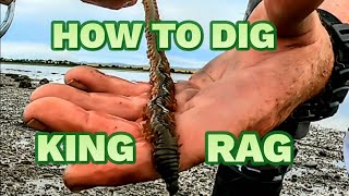 How to dig king Ragworm and why I hate my Brother [upl. by Adnilre]