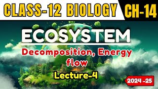 ECOSYSTEM I LECTURE 4 I DECOMPOSITION I CLASS12 I NEETCBSEState Board [upl. by Carlye]