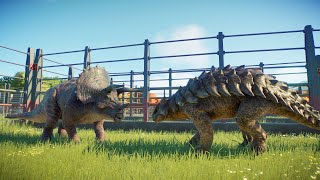 Triceratops vs Ankylosaurus  Friend Or Battle  JWE Battle Fight  Jurassic World Evolution 2 [upl. by Letha]