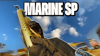 Marine SP Gold Camo Challenges Guide  Best Class and Easy Headshots  Black Ops Mastery Camo [upl. by Aldarcie]