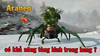 Ark Ascended  Nhện Araneo bắt trong hang có khả năng tàng hình không [upl. by Moe]